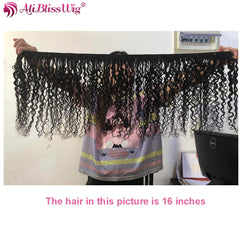 Curly Lace Front Pre Plucked Remy  Wig Human Hair