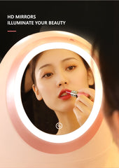 LED Mirror Makeup Storage Box Cosmetic Organizer Case