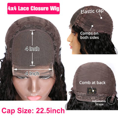 Straight Lace Closure Remy Human Hair Wig