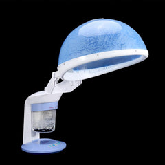 2 In 1 Hair Therapy Steamer