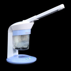 2 In 1 Hair Therapy Steamer