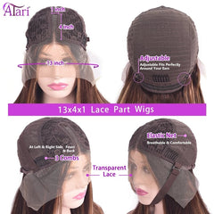Highlight Ombre Transparent  Lace Front Wig