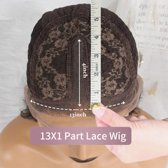 Brown Ombre Human Hair Wig 13x4 Curly Lace Front