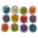 Multi Color Nail Decoration