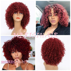 Indian Jerry Curly Virgin Human Hair Wig