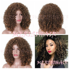 Indian Jerry Curly Virgin Human Hair Wig