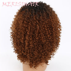 Indian Jerry Curly Virgin Human Hair Wig