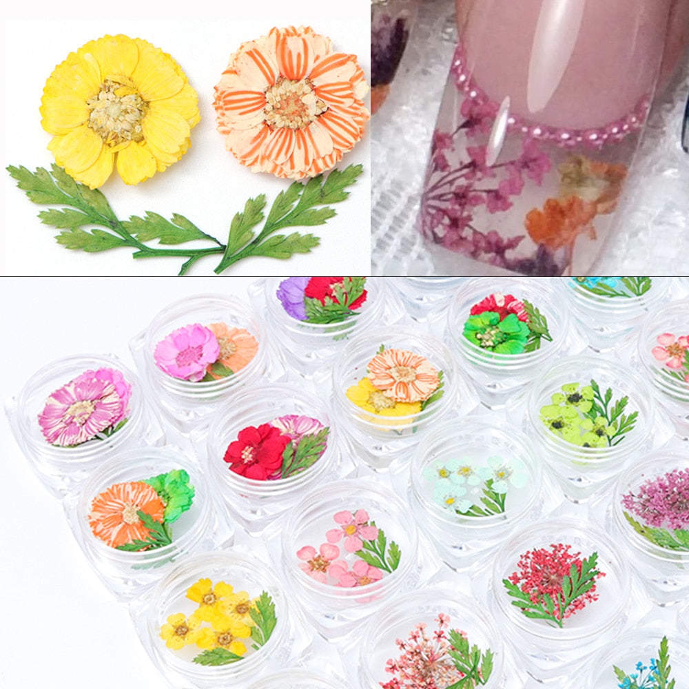 3D Dry Real Flowers Nail Decoration