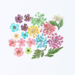 3D Dry Real Flowers Nail Decoration
