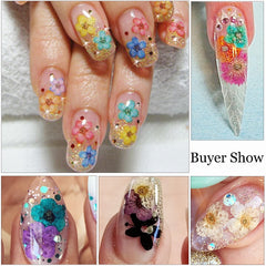 3D Dry Real Flowers Nail Decoration