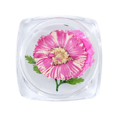 3D Dry Real Flowers Nail Decoration