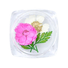 3D Dry Real Flowers Nail Decoration