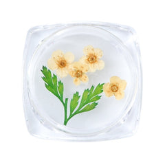 3D Dry Real Flowers Nail Decoration