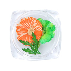3D Dry Real Flowers Nail Decoration