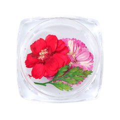 3D Dry Real Flowers Nail Decoration