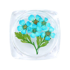 3D Dry Real Flowers Nail Decoration