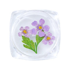 3D Dry Real Flowers Nail Decoration