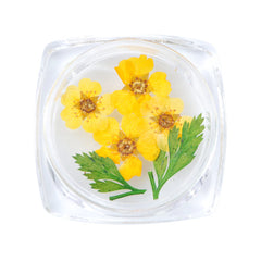3D Dry Real Flowers Nail Decoration