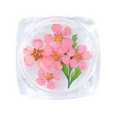 3D Dry Real Flowers Nail Decoration