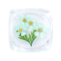3D Dry Real Flowers Nail Decoration