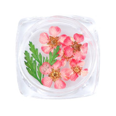 3D Dry Real Flowers Nail Decoration