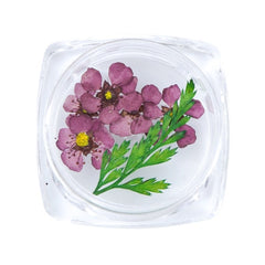 3D Dry Real Flowers Nail Decoration
