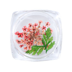 3D Dry Real Flowers Nail Decoration