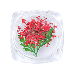 3D Dry Real Flowers Nail Decoration