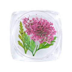 3D Dry Real Flowers Nail Decoration