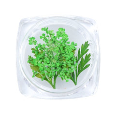 3D Dry Real Flowers Nail Decoration