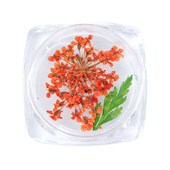 3D Dry Real Flowers Nail Decoration