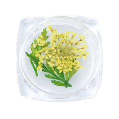 3D Dry Real Flowers Nail Decoration