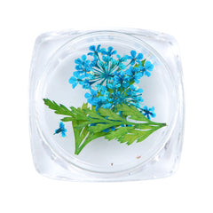 3D Dry Real Flowers Nail Decoration