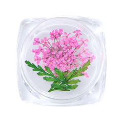 3D Dry Real Flowers Nail Decoration