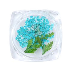 3D Dry Real Flowers Nail Decoration
