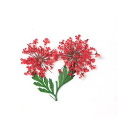 3D Dry Real Flowers Nail Decoration