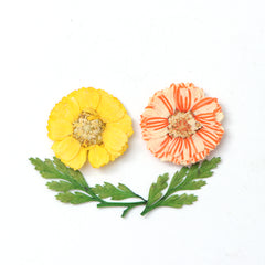 3D Dry Real Flowers Nail Decoration