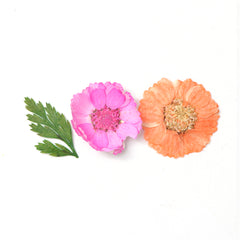 3D Dry Real Flowers Nail Decoration