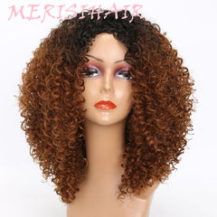 Indian Jerry Curly Virgin Human Hair Wig
