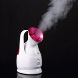 Ionic Facial Steamer