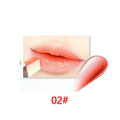 Two Color Moisturizer Tint Lipstick
