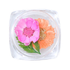 3D Dry Real Flowers Nail Decoration