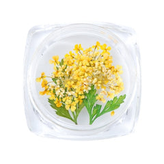 3D Dry Real Flowers Nail Decoration